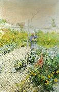 Carl Larsson i kakstradgarden USA oil painting artist